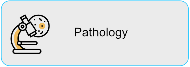 Pathology-HCH
